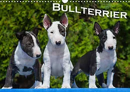 Kalender Bullterrier (Wandkalender 2022 DIN A3 quer) von Bullterrier