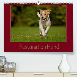 Kalender Faszination Hund (Premium, hochwertiger DIN A2 Wandkalender 2022, Kunstdruck in Hochglanz) von Melanie Bischof, Tierfotografie Bischof