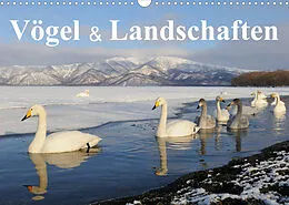 Kalender Vögel & Landschaften (Wandkalender 2022 DIN A3 quer) von birdimagency.com