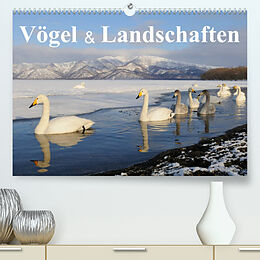Kalender Vögel &amp; Landschaften (Premium, hochwertiger DIN A2 Wandkalender 2022, Kunstdruck in Hochglanz) von birdimagency.com