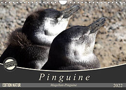 Kalender Magellan-Pinguine (Wandkalender 2022 DIN A4 quer) von Flori0