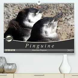 Kalender Magellan-Pinguine (Premium, hochwertiger DIN A2 Wandkalender 2022, Kunstdruck in Hochglanz) von Flori0