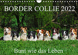 Kalender Border Collie 2022 (Wandkalender 2022 DIN A4 quer) von Sigrid Starick