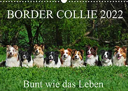 Kalender Border Collie 2022 (Wandkalender 2022 DIN A3 quer) von Sigrid Starick