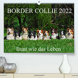 Kalender Border Collie 2022 (Premium, hochwertiger DIN A2 Wandkalender 2022, Kunstdruck in Hochglanz) von Sigrid Starick