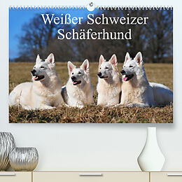 Kalender Weißer Schweizer Schäferhund (Premium, hochwertiger DIN A2 Wandkalender 2022, Kunstdruck in Hochglanz) von Sigrid Starick