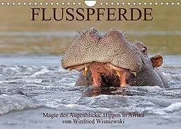 Kalender Flusspferde Magie des Augenblicks - Hippos in Afrika (Wandkalender 2022 DIN A4 quer) von Winfried Wisniewski