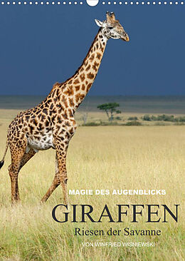 Kalender Magie des Augenblicks - Giraffen - Riesen der Savanne (Wandkalender 2022 DIN A3 hoch) von Winfried Wisniewski