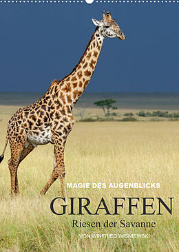 Kalender Magie des Augenblicks - Giraffen - Riesen der Savanne (Wandkalender 2022 DIN A2 hoch) von Winfried Wisniewski