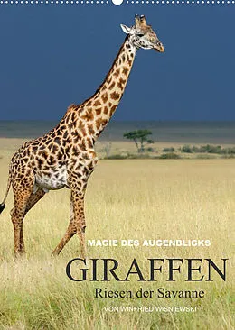 Kalender Magie des Augenblicks - Giraffen - Riesen der Savanne (Wandkalender 2022 DIN A2 hoch) von Winfried Wisniewski