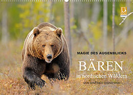 Kalender Magie des Augenblicks - Bären in nordischen Wäldern (Wandkalender 2022 DIN A2 quer) von Winfried Wisniewski