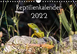 Kalender Reptilienkalender 2022 (Wandkalender 2022 DIN A4 quer) von Michael Zill, Fotos