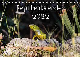 Kalender Reptilienkalender 2022 (Tischkalender 2022 DIN A5 quer) von Fotos, Michael Zill
