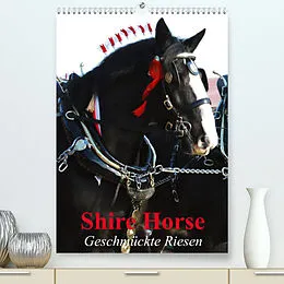 Kalender Shire Horse - Geschmückte Riesen (Premium, hochwertiger DIN A2 Wandkalender 2022, Kunstdruck in Hochglanz) von Elisabeth Stanzer