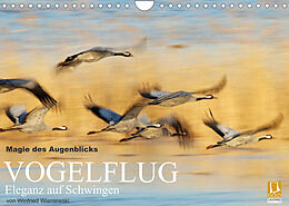 Kalender Magie des Augenblicks - Vogelflug - Eleganz auf Schwingen (Wandkalender 2022 DIN A4 quer) von Winfried Wisniewski