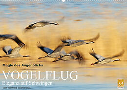 Kalender Magie des Augenblicks - Vogelflug - Eleganz auf Schwingen (Wandkalender 2022 DIN A2 quer) von Winfried Wisniewski