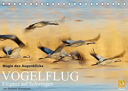 Kalender Magie des Augenblicks - Vogelflug - Eleganz auf Schwingen (Tischkalender 2022 DIN A5 quer) von Winfried Wisniewski