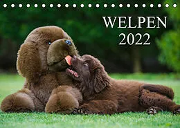 Kalender Welpen 2022 (Tischkalender 2022 DIN A5 quer) von Sigrid Starick