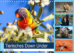 Kalender Tierisches Down Under - live erleben (Wandkalender 2022 DIN A4 quer) von Anke Fietzek