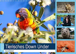 Kalender Tierisches Down Under - live erleben (Wandkalender 2022 DIN A3 quer) von Anke Fietzek