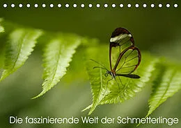Kalender Die faszinierende Welt der Schmetterlinge (Tischkalender 2022 DIN A5 quer) von Benjamin Nocke