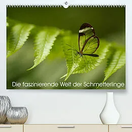 Kalender Die faszinierende Welt der Schmetterlinge (Premium, hochwertiger DIN A2 Wandkalender 2022, Kunstdruck in Hochglanz) von Benjamin Nocke