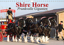 Kalender Shire Horse  Prunkvolle Giganten (Wandkalender 2022 DIN A4 quer) von Elisabeth Stanzer