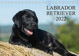 Kalender Labrador Retriever 2022 (Tischkalender 2022 DIN A5 quer) von Sigrid Starick