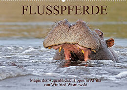 Kalender Flusspferde Magie des Augenblicks - Hippos in Afrika (Wandkalender 2022 DIN A2 quer) von Winfried Wisniewski
