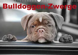Kalender Bulldoggen-Zwerge (Wandkalender 2022 DIN A3 quer) von Elisabeth Stanzer