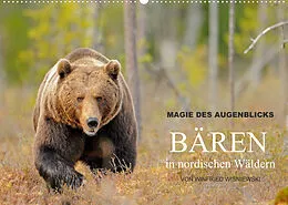 Kalender Magie des Augenblicks - Bären in nordischen Wäldern (Wandkalender 2022 DIN A2 quer) von Winfried Wisniewski