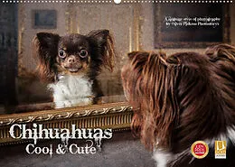 Kalender Chihuahuas - Cool and Cute (Wandkalender 2022 DIN A2 quer) von Oliver Pinkoss Photostorys