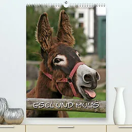 Kalender Esel und Mulis (Premium, hochwertiger DIN A2 Wandkalender 2022, Kunstdruck in Hochglanz) von Pferdografen.de / Antje Lindert-Rottke + Martina Berg