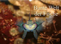 Kalender Bunte Welt der Fische (Wandkalender 2022 DIN A3 quer) von Barbara Mielewczyk