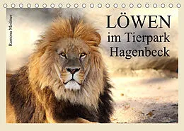 Kalender Löwen im Tierpark Hagenbeck (Tischkalender 2022 DIN A5 quer) von Ramona Meißner