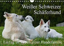 Kalender Weißer Schweizer Schäferhund - Ein Tag im Leben einer Hundefamilie (Wandkalender 2022 DIN A4 quer) von Sigrid Starick