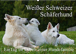 Kalender Weißer Schweizer Schäferhund - Ein Tag im Leben einer Hundefamilie (Wandkalender 2022 DIN A2 quer) von Sigrid Starick