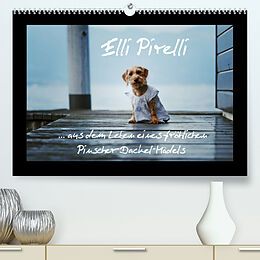 Kalender Elli Pirelli... aus dem Leben eines fröhlichen Pinscher-Dackel-Mädels (Premium, hochwertiger DIN A2 Wandkalender 2022, Kunstdruck in Hochglanz) von Kathrin Köntopp