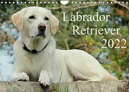 Kalender Labrador Retriever 2022 (Wandkalender 2022 DIN A4 quer) von Anita Schreuer
