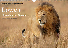Kalender Magie des Augenblicks - Löwen - Herrscher der Savanne (Wandkalender 2022 DIN A3 quer) von Winfried Wisniewski