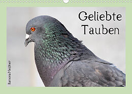 Kalender Geliebte Tauben (Wandkalender 2022 DIN A3 quer) von Ramona Meißner