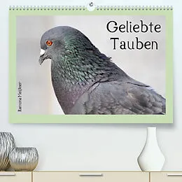 Kalender Geliebte Tauben (Premium, hochwertiger DIN A2 Wandkalender 2022, Kunstdruck in Hochglanz) von Ramona Meißner