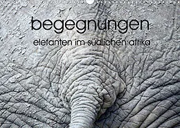 Kalender begegnungen - elefanten im südlichen afrika (Wandkalender 2022 DIN A3 quer) von rsiemer