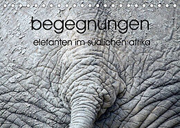 Kalender begegnungen - elefanten im südlichen afrika (Tischkalender 2022 DIN A5 quer) von rsiemer