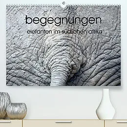 Kalender begegnungen - elefanten im südlichen afrika (Premium, hochwertiger DIN A2 Wandkalender 2022, Kunstdruck in Hochglanz) von rsiemer