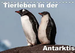 Kalender Tierleben in der Antarktis (Tischkalender 2022 DIN A5 quer) von Jürgen Wöhlke