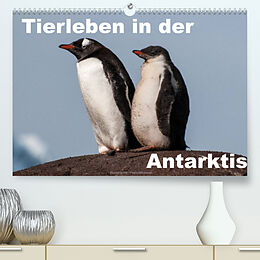 Kalender Tierleben in der Antarktis (Premium, hochwertiger DIN A2 Wandkalender 2022, Kunstdruck in Hochglanz) von Jürgen Wöhlke
