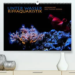 Kalender UNTER WASSER Riffaquaristik (Premium, hochwertiger DIN A2 Wandkalender 2022, Kunstdruck in Hochglanz) von www.bild-erzaehler.com, Thomas Herzog