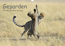 Kalender Geparden - Afrikas grazile Katzen (Wandkalender 2022 DIN A3 quer) von Thorsten Jürs