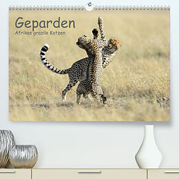 Kalender Geparden - Afrikas grazile Katzen (Premium, hochwertiger DIN A2 Wandkalender 2022, Kunstdruck in Hochglanz) von Thorsten Jürs